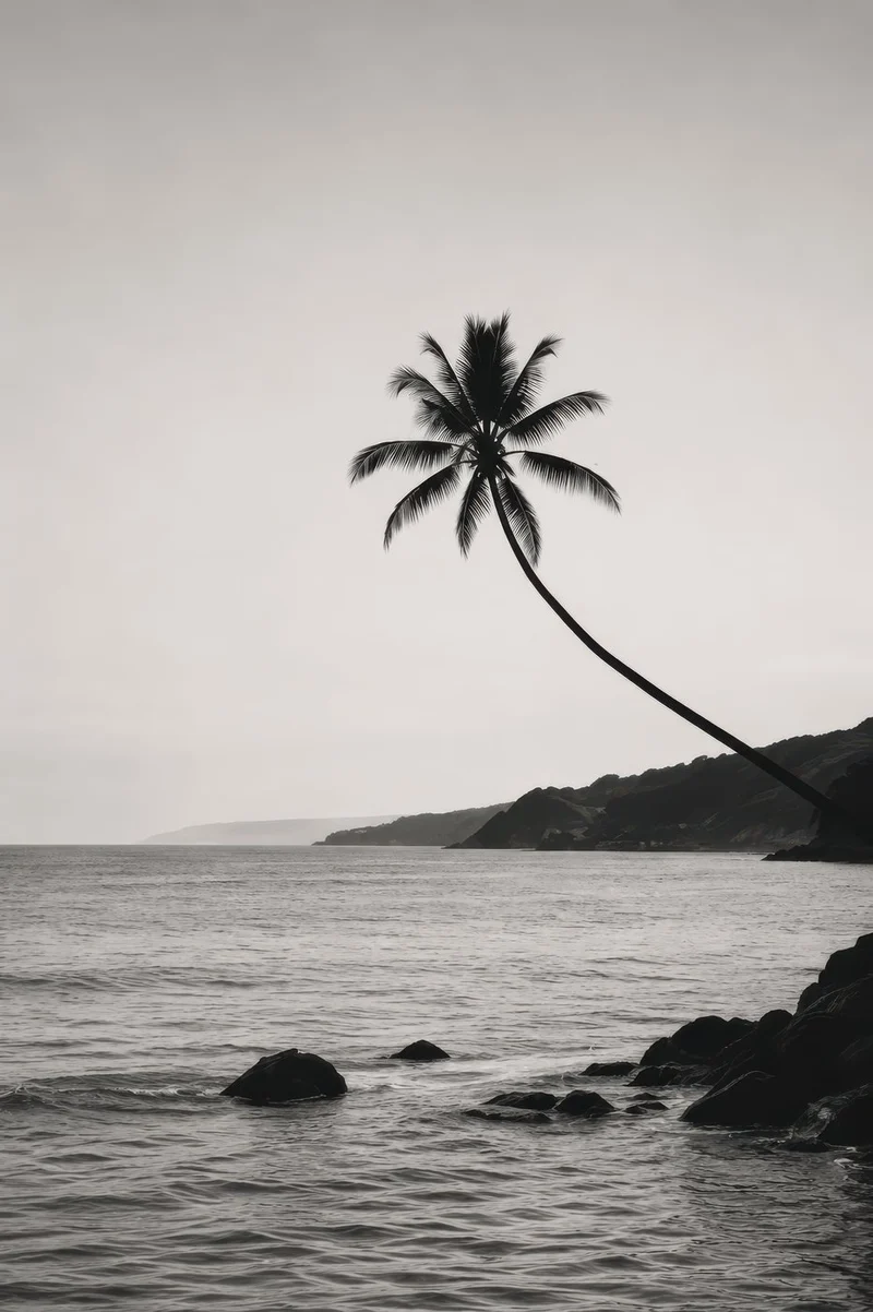Palm Silhouette — Monochrome collection