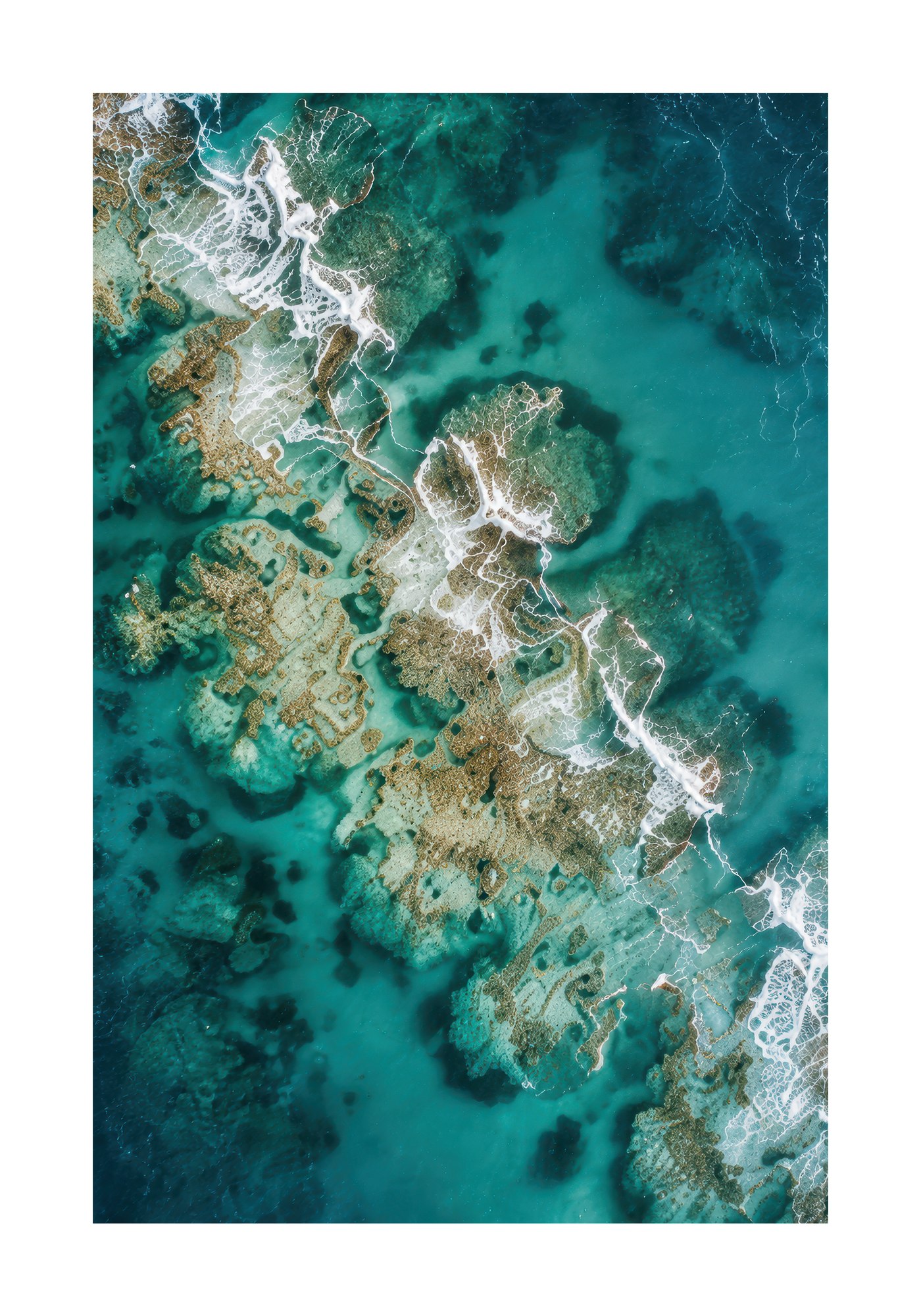 Ocean collection