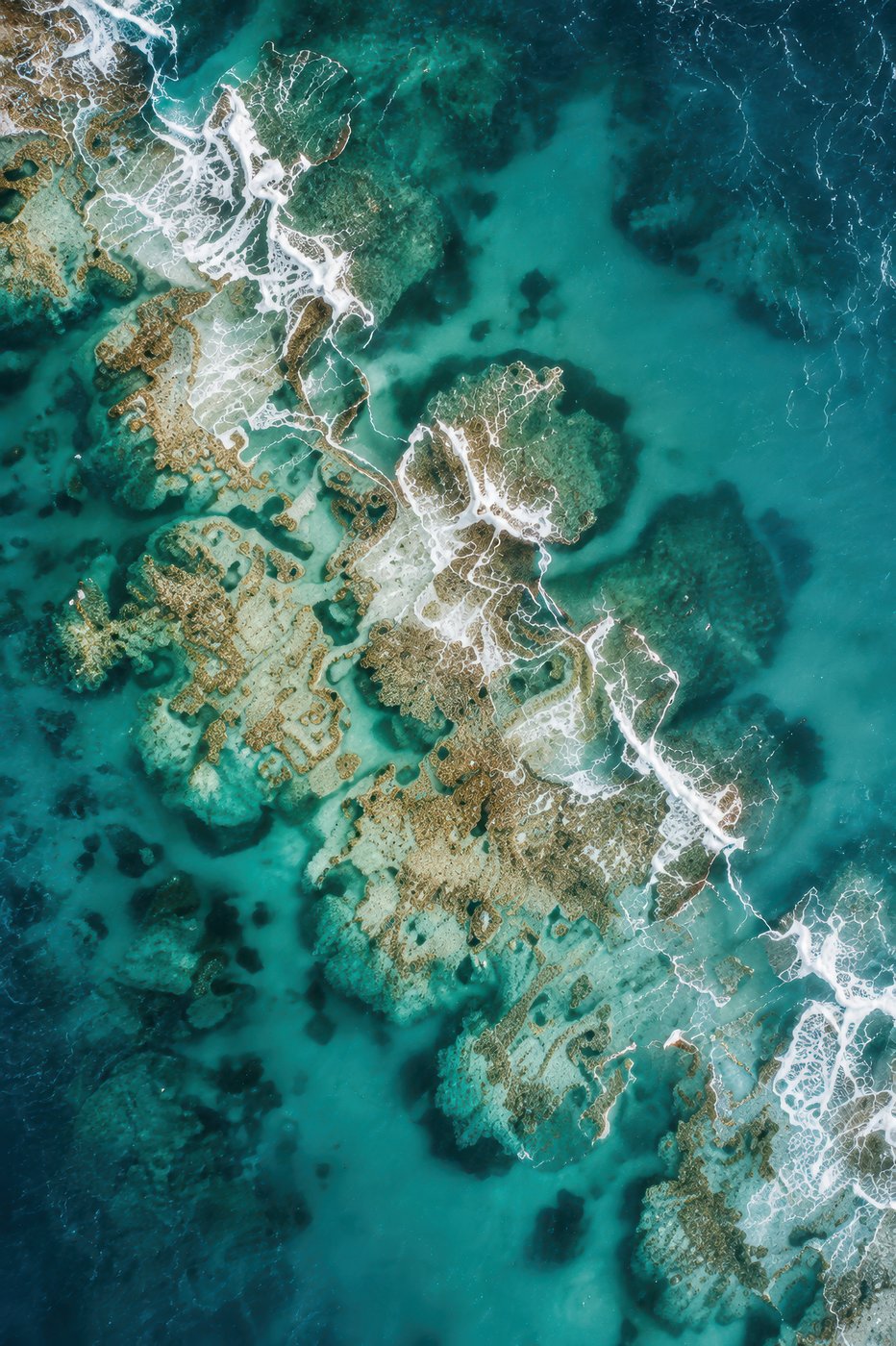 Ocean collection