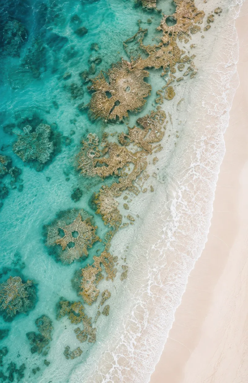 Reef Edge
