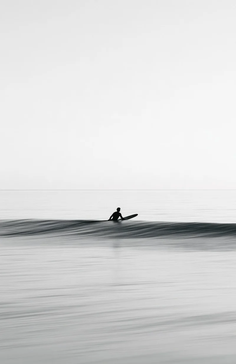 Surf collection
