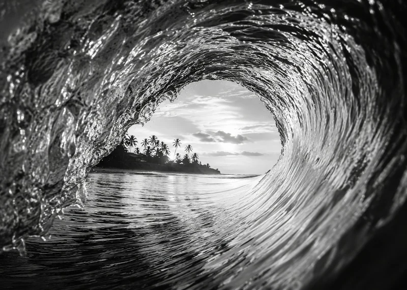 Through the Barrel