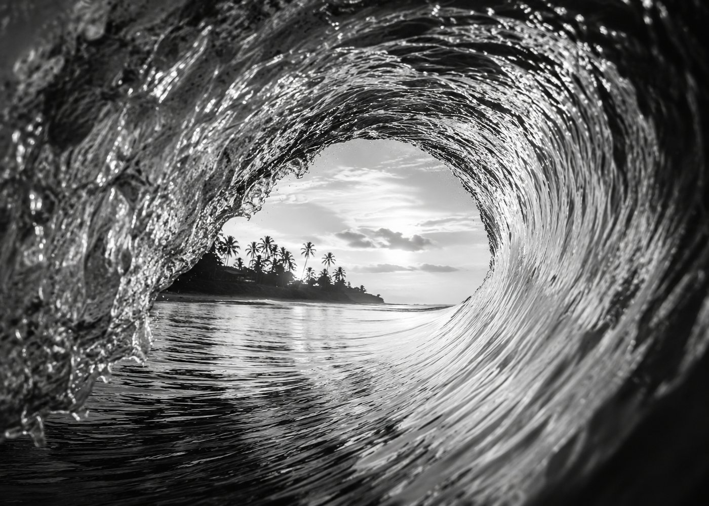 Wave collection